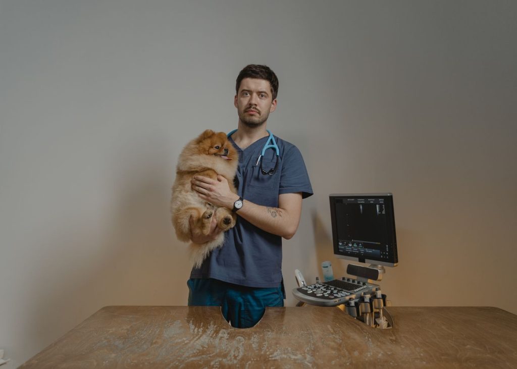 The quiet corporate takeover of American healthcare, and the doctors pushing back
