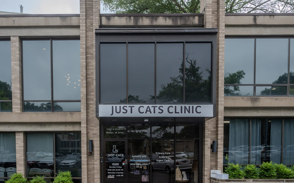 Just Cats Clinic