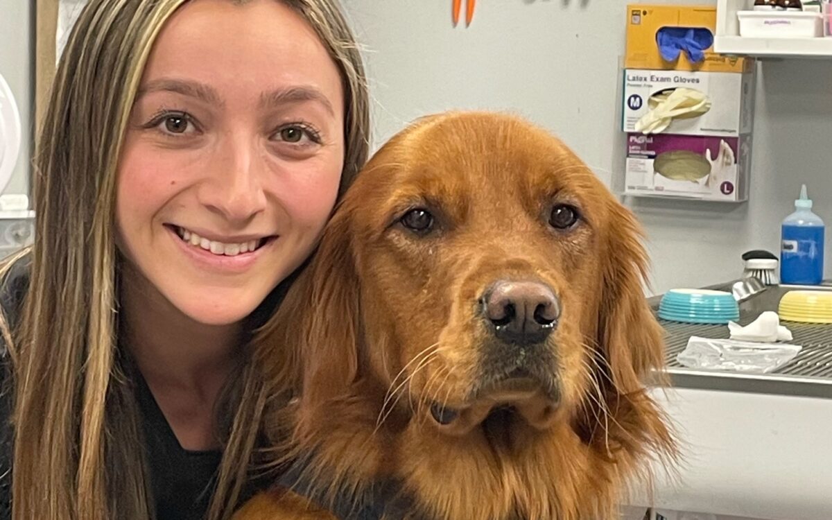 Progressive Animal Hospital