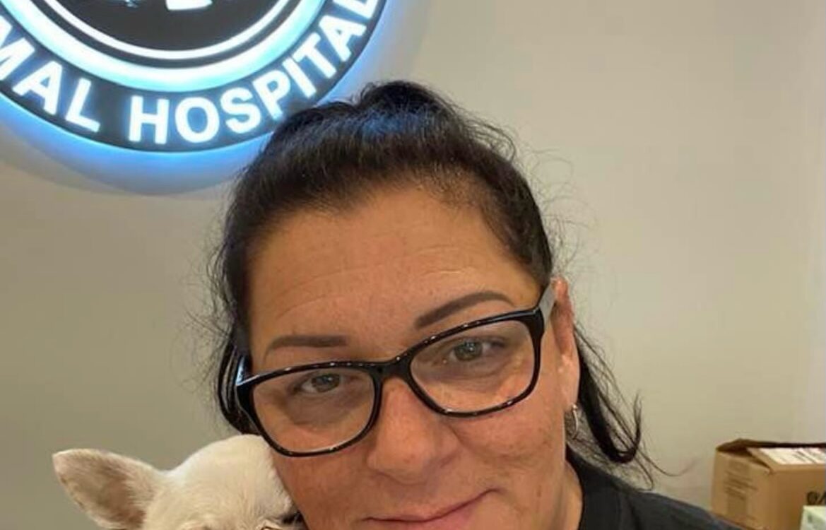 Progressive Animal Hospital