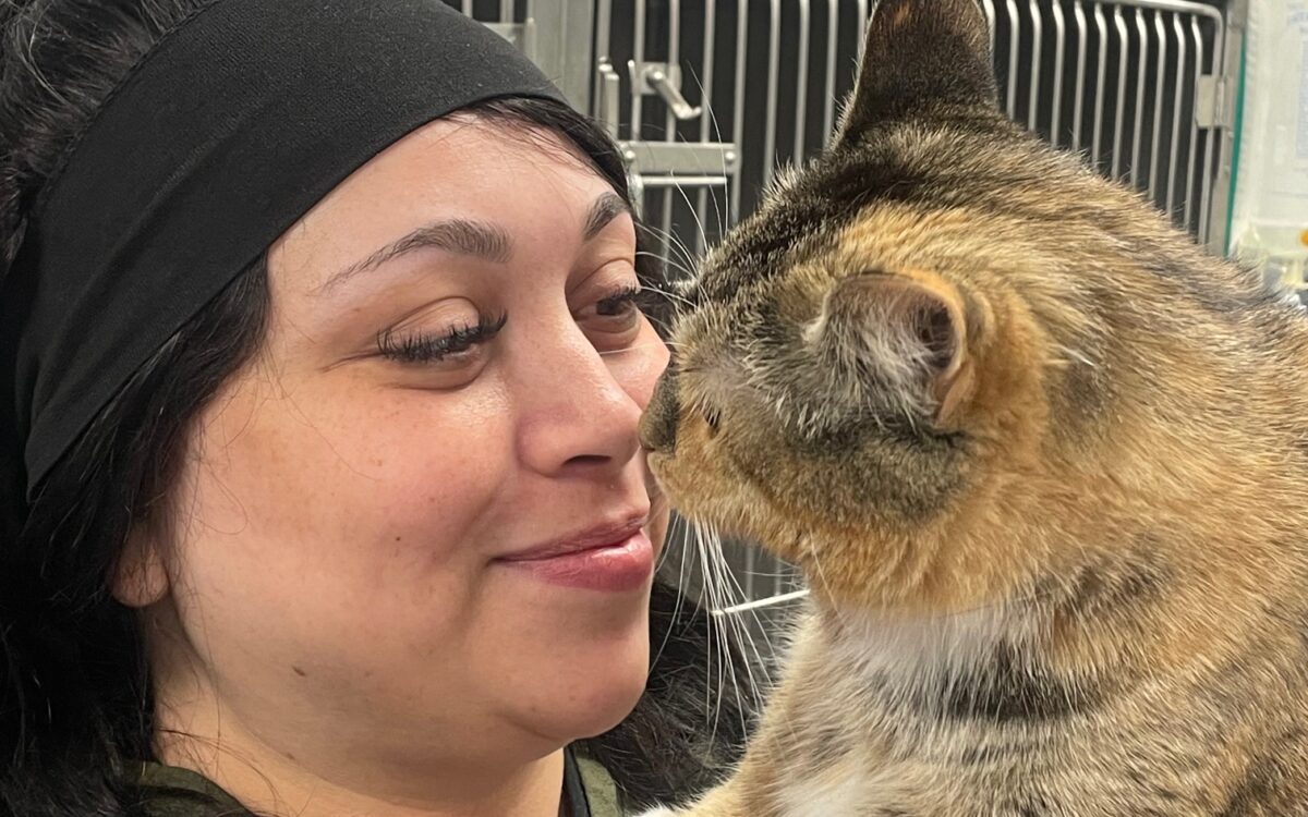 Progressive Animal Hospital